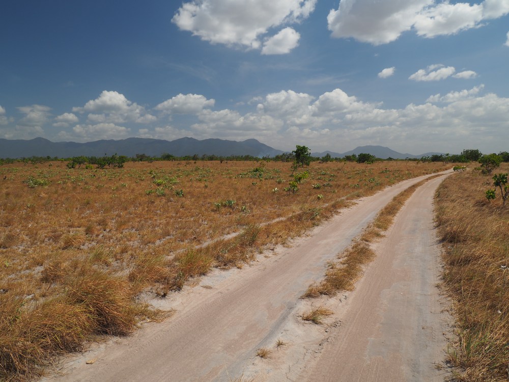 Rupununi_Road.JPG